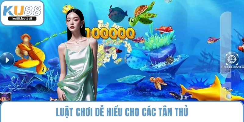 Luật chơi dễ hiểu cho các tân thủ